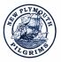 New Plymouth District Logo